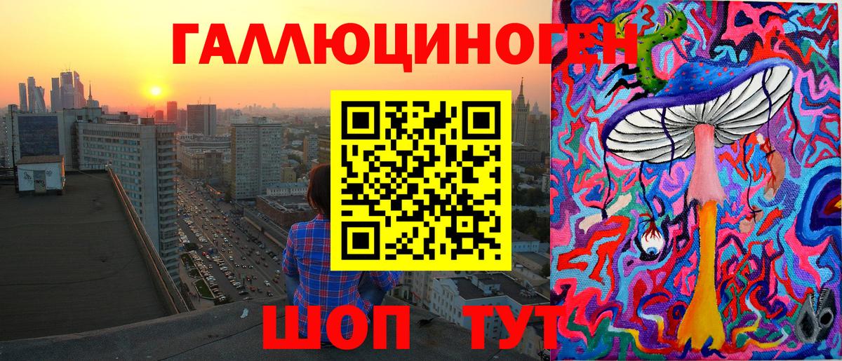 Псилоцибиновые грибы Psilocybine cubensis Обнинск